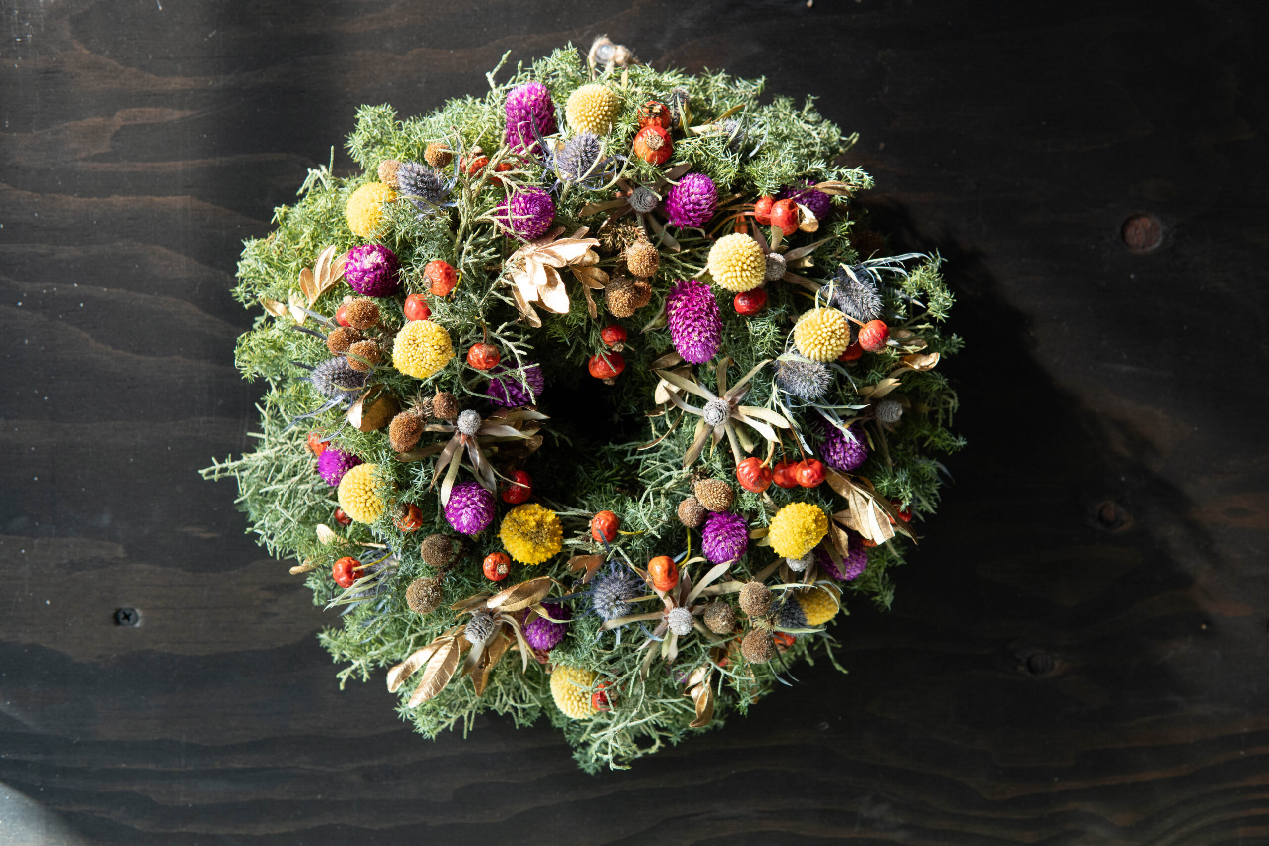 Winter Wreath W-012 | The Plants