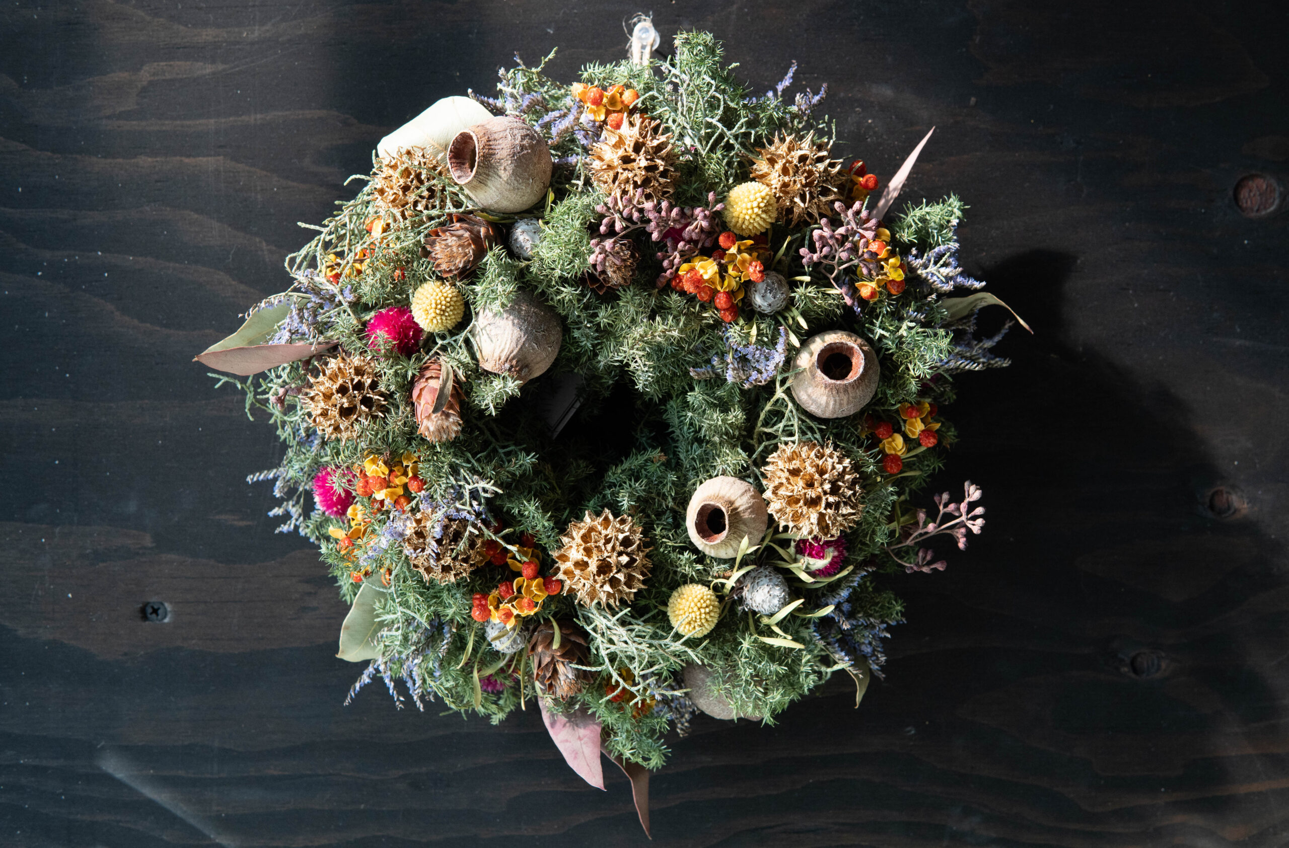 Winter Wreath W-011 | The Plants