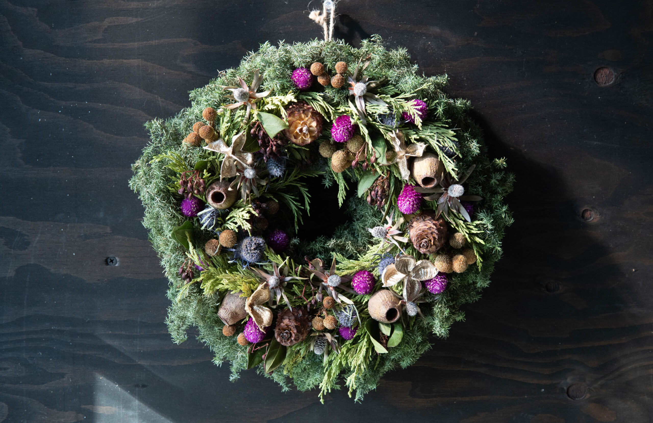 Winter Wreath W-005 | The Plants