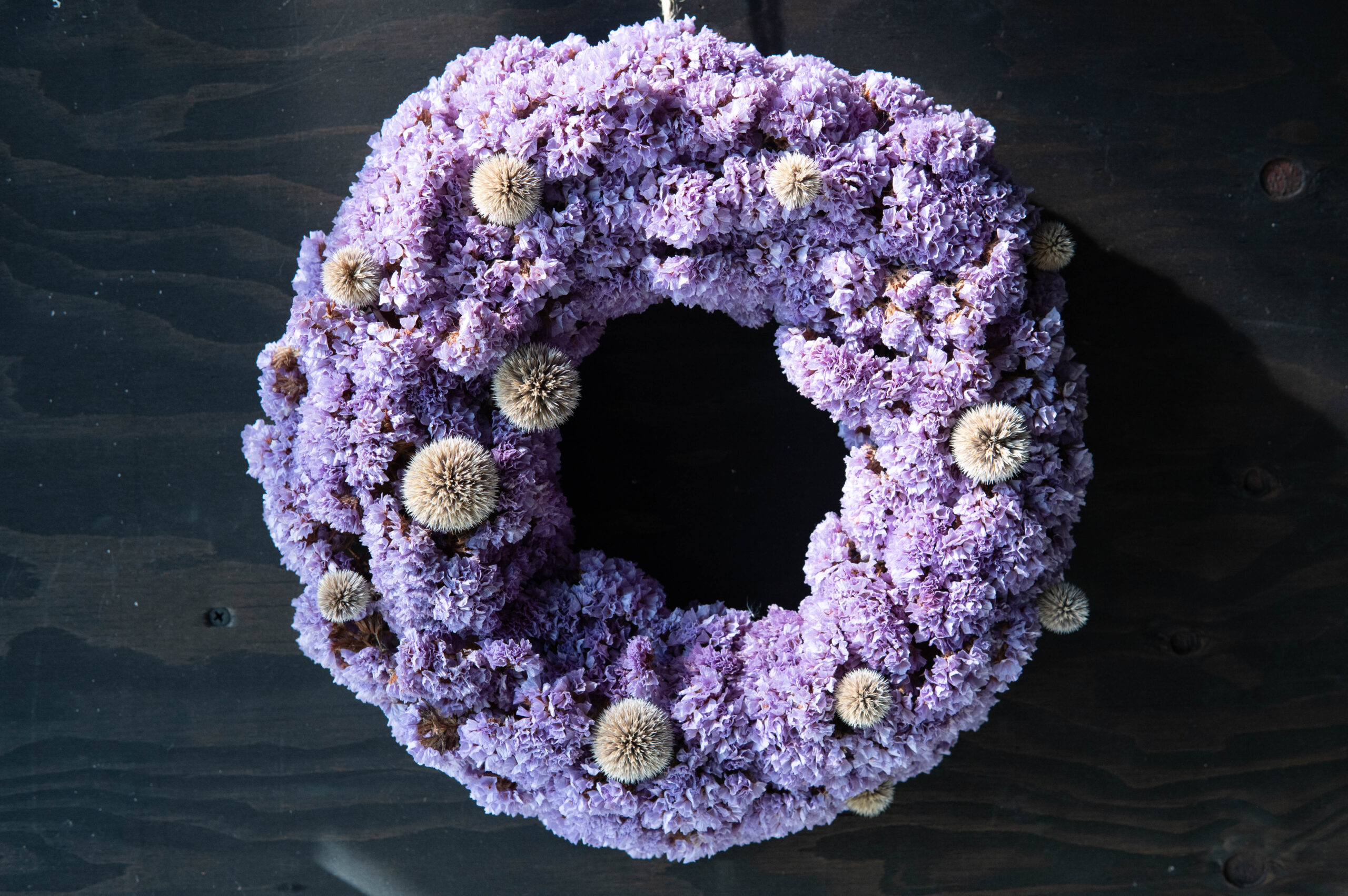 Winter Wreath W-010 | The Plants