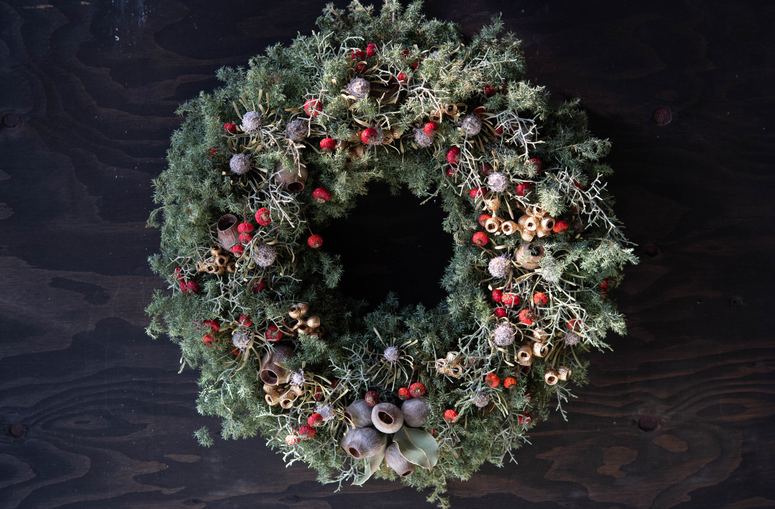 Winter Wreath W-012 | The Plants