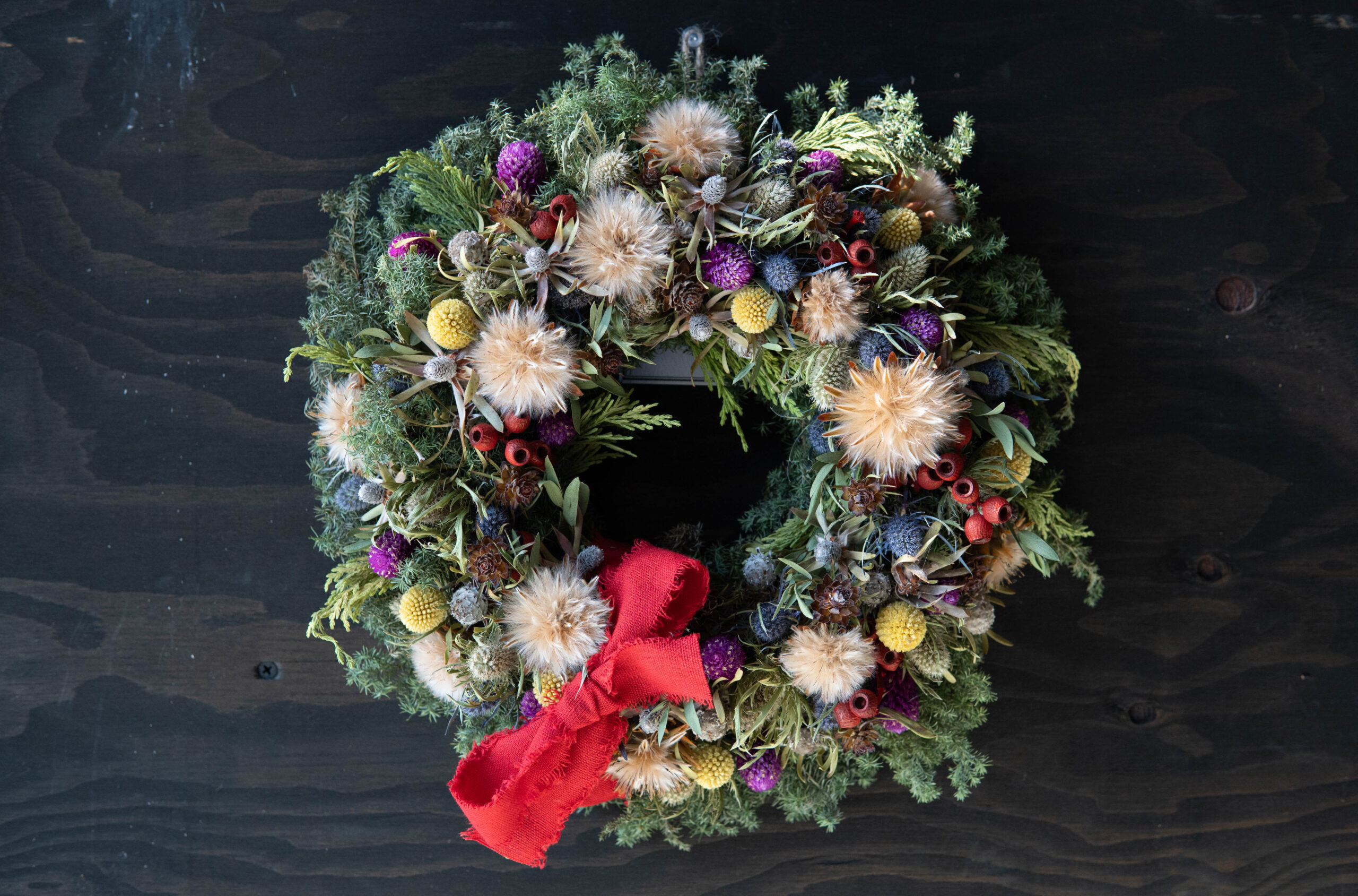 Winter Wreath W-011 | The Plants