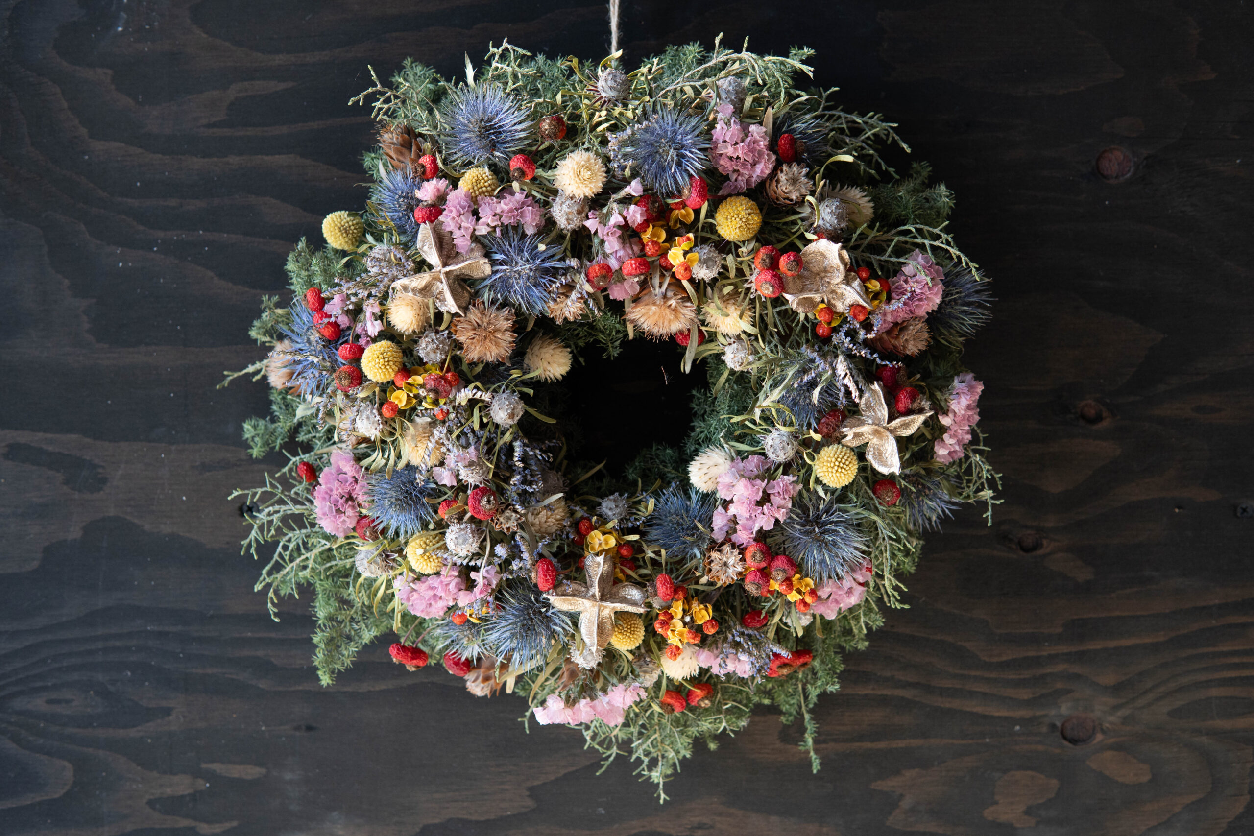 Winter Wreath W-013 | The Plants