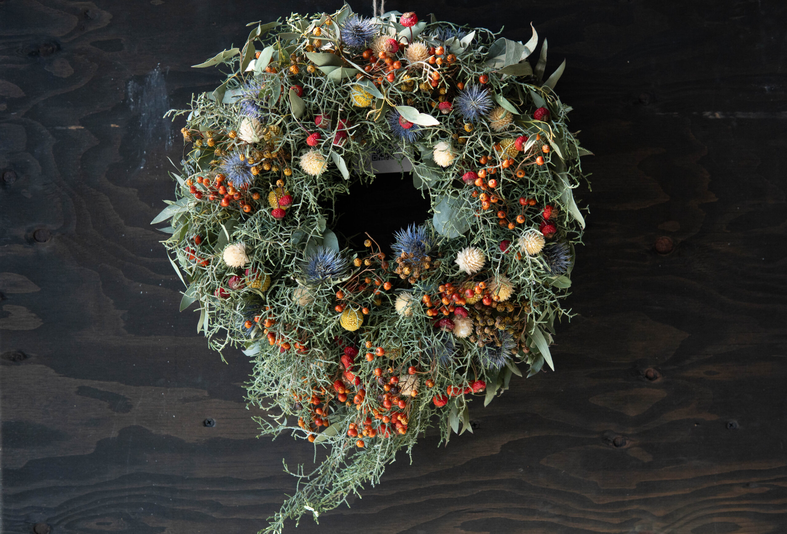 Winter Wreath W-014 | The Plants