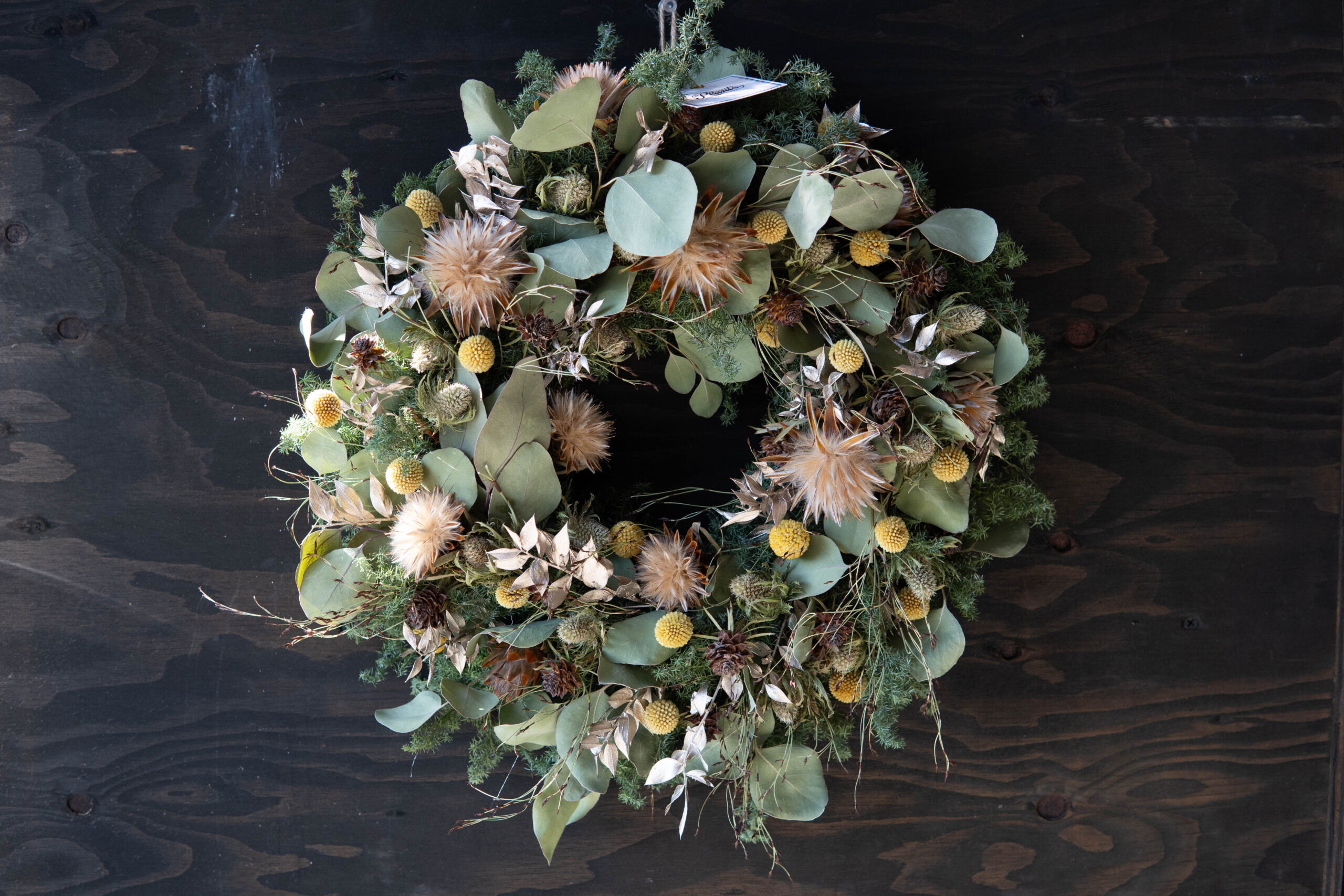 Winter Wreath W-016 | The Plants